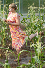 Terra-kotta Terra-kotta