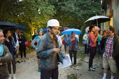 Szent tehenek Szent tehenek